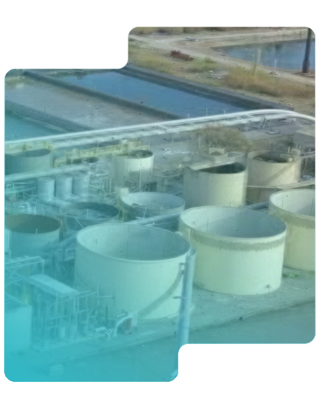 Brandon Shores FGD Case Study